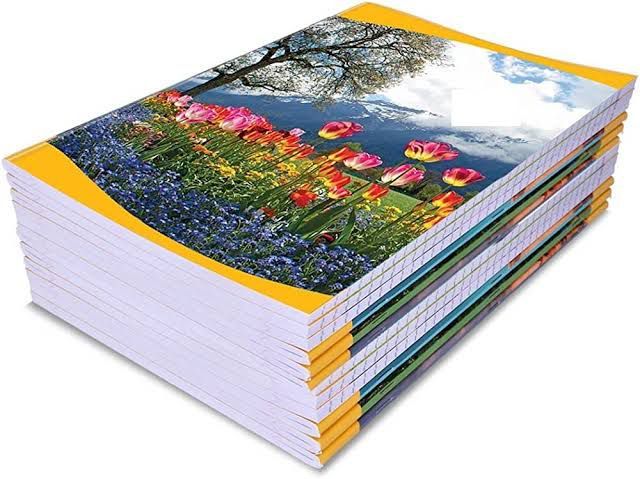 Register 500 Pags White Impoted Paper Full Skip Size
