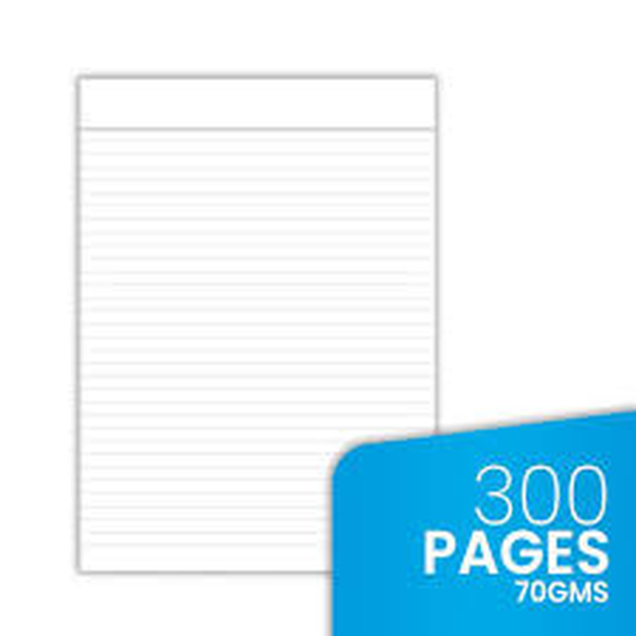 Register 300 Pags White Impoted Paper Full Skip Size