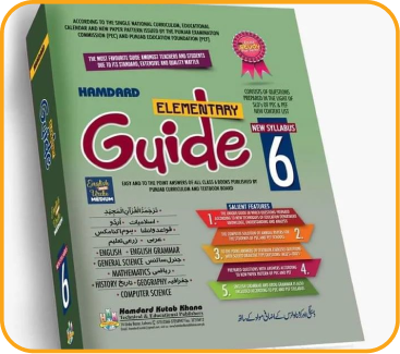 Mask groupolevel-2